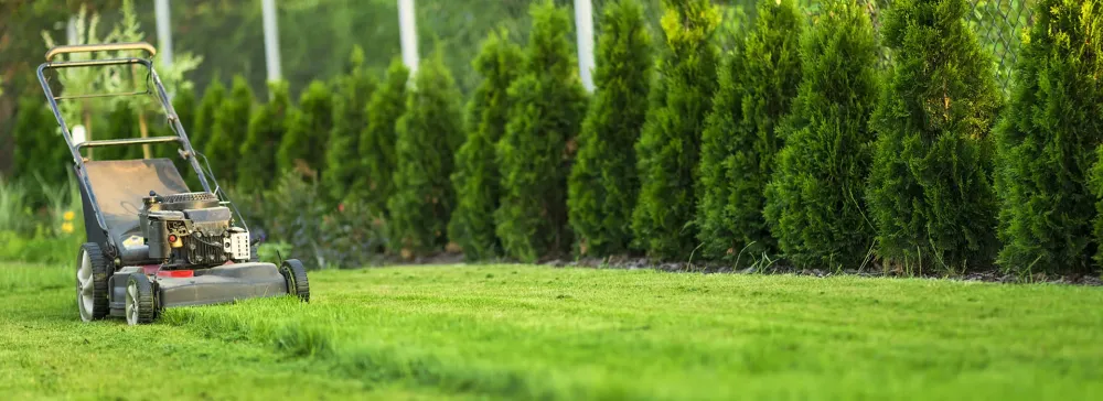 Remise en état de jardin près de Bayonne