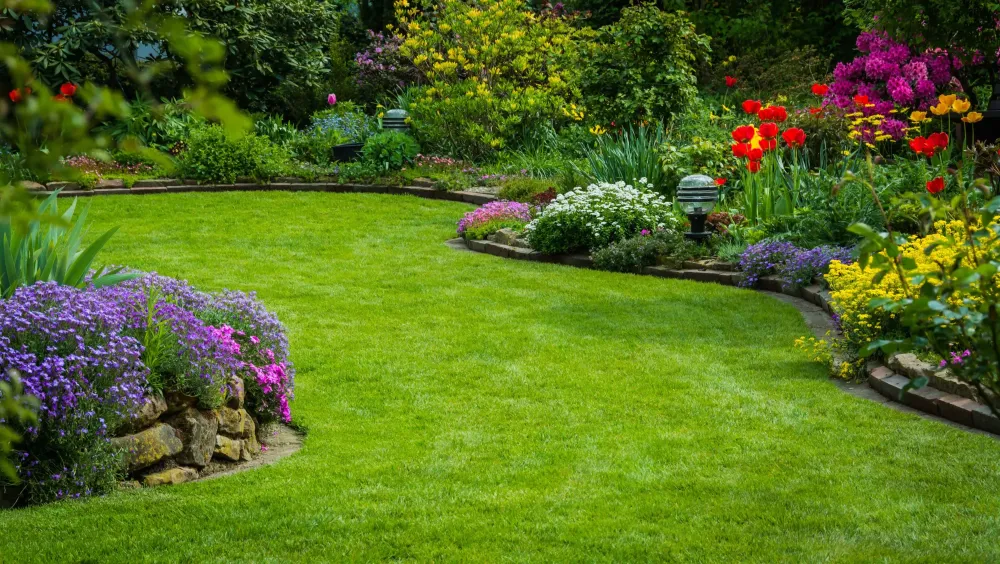 plantes-ornementales-jardin